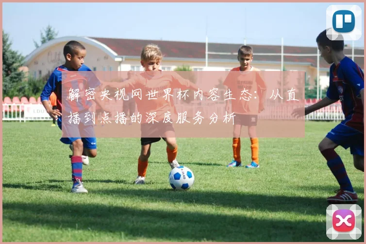 解密央视网世界杯内容生态：从直播到点播的深度服务分析
