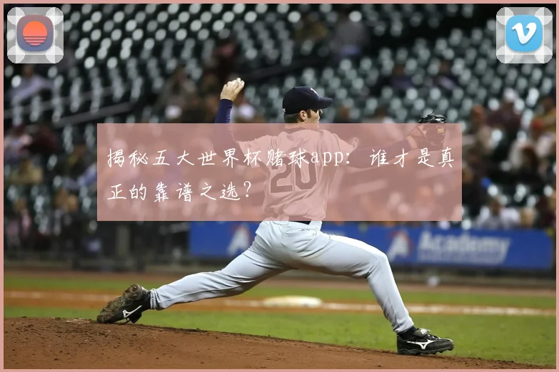 揭秘五大世界杯赌球app：谁才是真正的靠谱之选？
