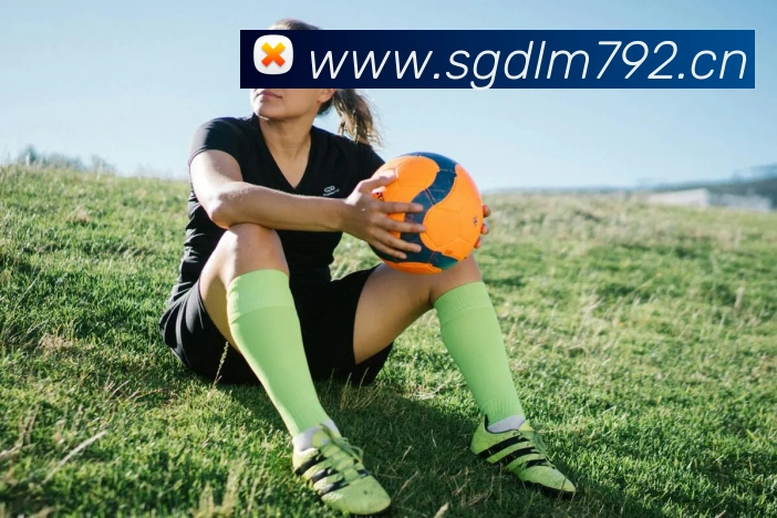 米兰网站平台生态图