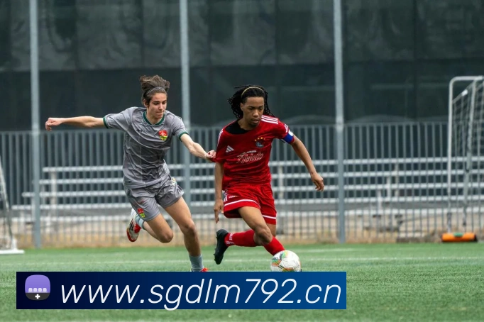 数据防护可视化